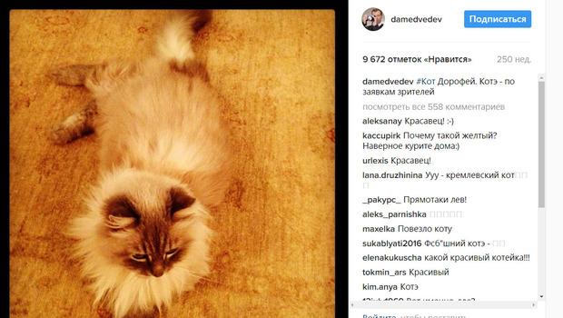 ميدفيديف عن فيلم نافالني: هذه محاولة لتحقيق أهداف أنانية